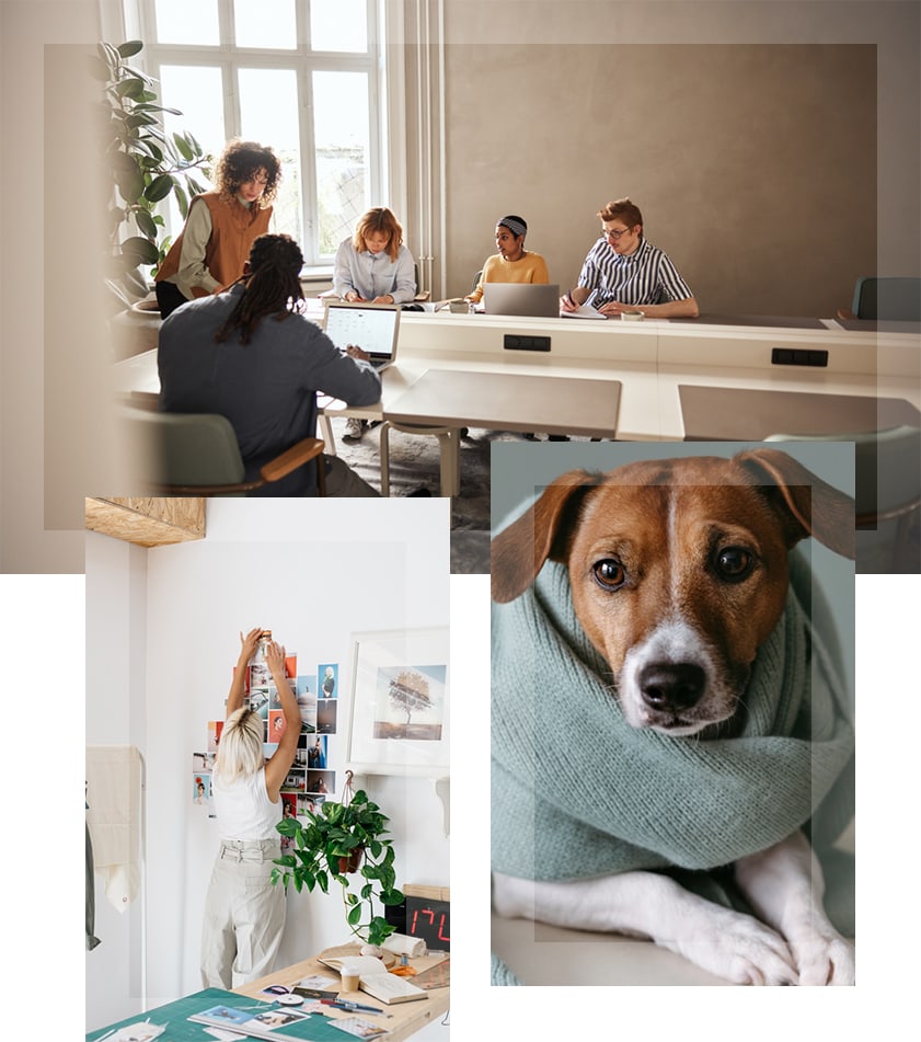 Photo collage - Meeting - Dog with neck warmers - Woman do a collage photo